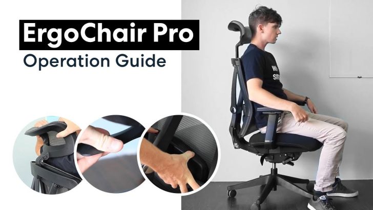 Top Ergonomic Ergo Chair Pro: Explore the Ultimate Comfort and Support